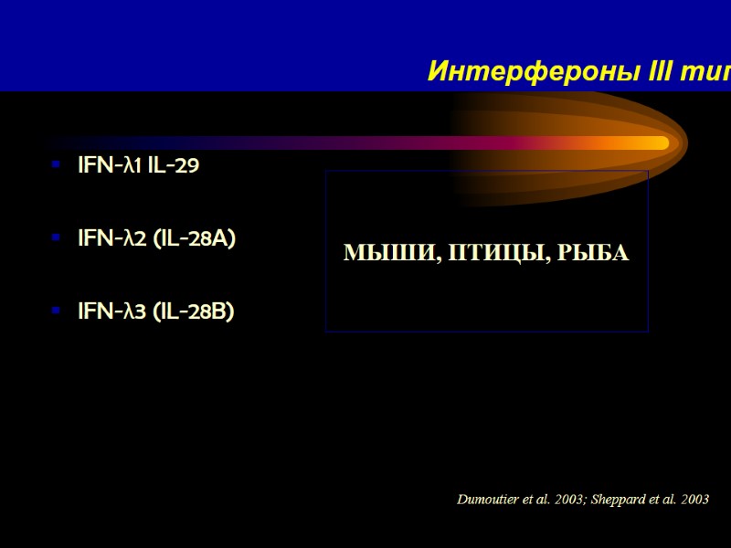 Интерфероны III типа IFN-λ1 IL-29 IFN-λ2 (IL-28A)  IFN-λ3 (IL-28B) Dumoutier et al. 2003;